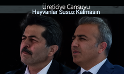 Hayvanlar Susuz Kalmasın !