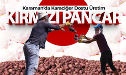 Karaman'da Karaciğer Dostu Üretim