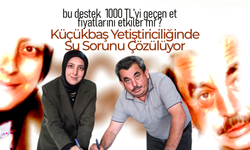 Et Fiyatları Düşecek mi ?