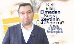 Kirli Eller Elmadan Sonra Zeytinin Üstünde mi ?