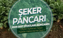 Şeker Pancarı Alım Fiyatı Belli Oldu