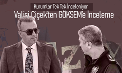 Kurumlar Tek Tek İnceleniyor