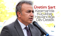 Karaman'da Küçükbaş Hayvancılığa Dev Destek