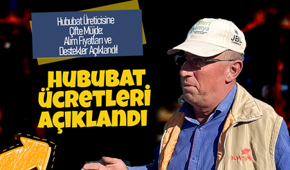 Hububat Alım Fiyatları ve Destekler Açıklandı!