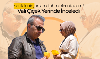 Karaman'ın "Gökkuşağı" Bahçelerine Vali Çiçek'ten Ziyaret