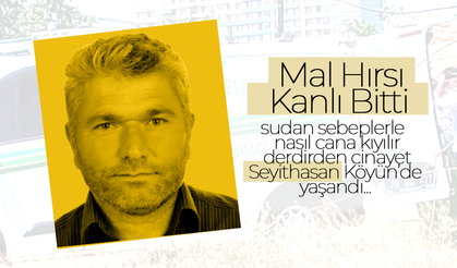 Karaman'da Mal Hırsı Kanlı Bitti