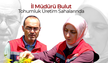 İl Müdürü Bulut Tohumluk Üretim Sahalarında