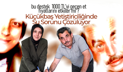 Et Fiyatları Düşecek mi ?