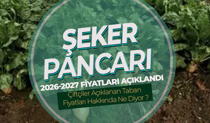 Şeker Pancarı Alım Fiyatı Belli Oldu