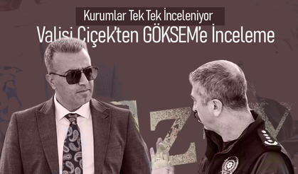 Kurumlar Tek Tek İnceleniyor