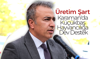 Karaman'da Küçükbaş Hayvancılığa Dev Destek