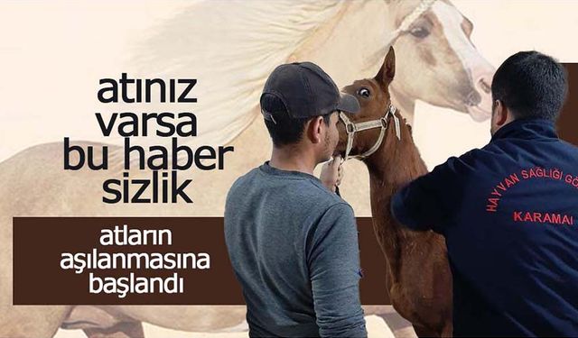 Yarış Atınız Varsa Aşılatmayı Unutmayınız