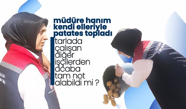 Müdür Bulut, Kendi Elleriyle Patates Topladı