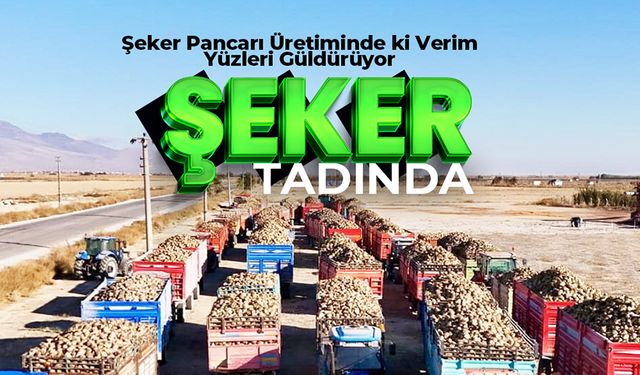 Karaman’da Pancar Hasadı: 290 Bin Ton Teslim Edildi