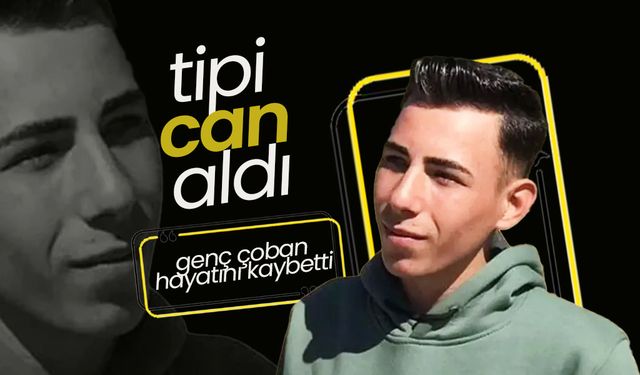 Yoğun Tipi Genç Çobanın Canını  Aldı