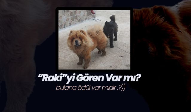 “Raki”yi Gören Var mı?