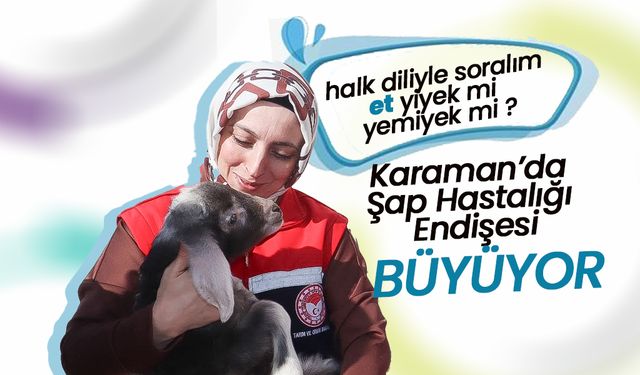 Karaman’da Şap Hastalığı Endişesi Büyüyor