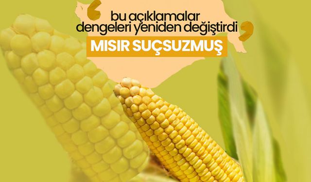 Karaman Tarımında Dengeler Değişiyor '' Mısır Suçsuzmuş ''