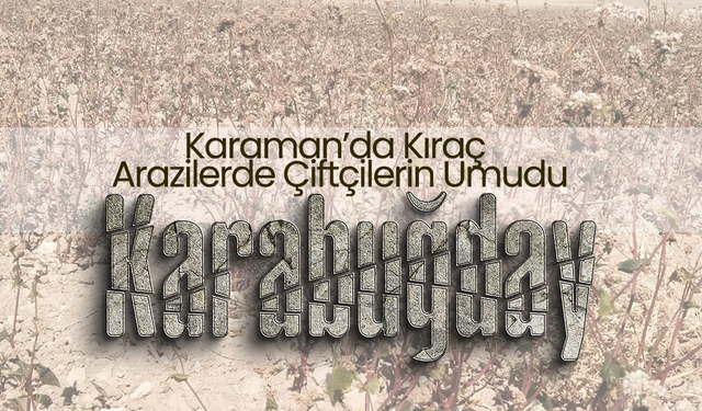 Karaman'da Kıraç Arazilere Bereket Geldi