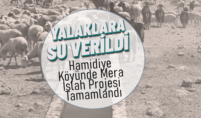 Hamidiye Köyünde Mera Islah Projesi Tamamlandı