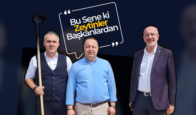 Cerit Köyü’nde Yer Fıstığı ve Zeytin Hasadı Bir Arada