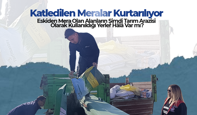 Katledilen Meralar Yeniden Hayata Dönüyor