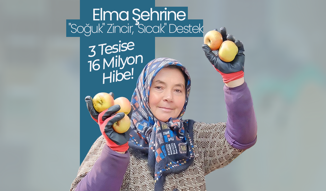 Elma Şehrine "Soğuk" Zincir, "Sıcak" Destek