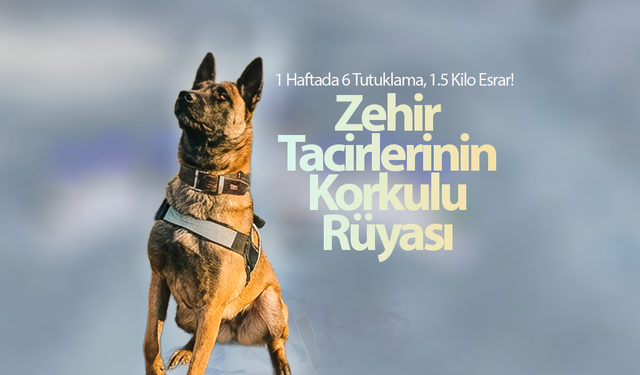 Zehir Tacirlerinin Korkulu Rüyası