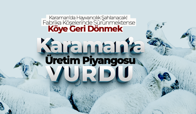 Karaman'da Devlet 100 Koyun Dağıtacak