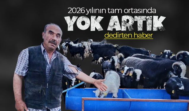 Karaman'da '' Yok Artık' Dedirten Haber