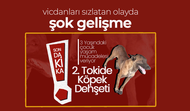 Vicdanları Sızlatan Olayda Şok Gelişme