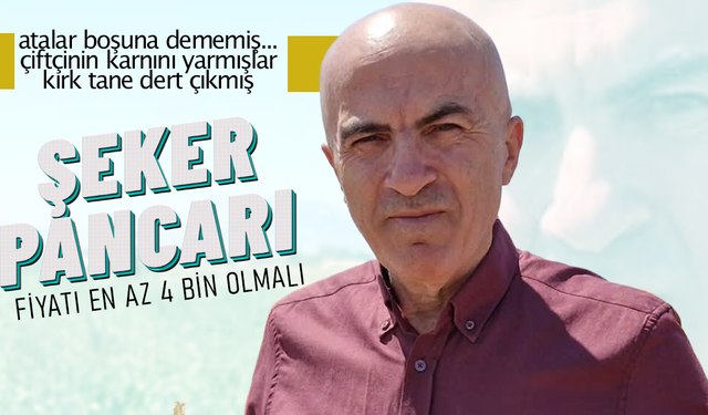 Şeker Pancarında Beklenti En Az 4 Bin TL