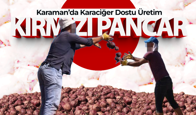 Karaman'da Karaciğer Dostu Üretim