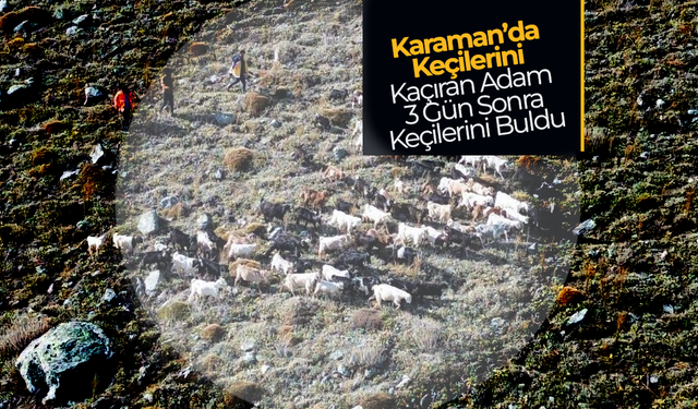 Karaman'da Keçilerini Kaçıran Adam Keçilerini Buldu