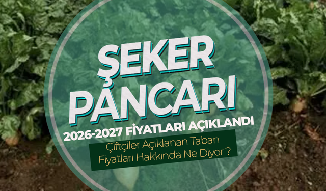 Şeker Pancarı Alım Fiyatı Belli Oldu