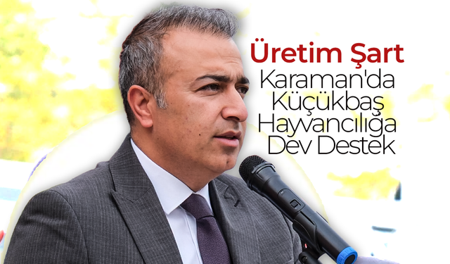 Karaman'da Küçükbaş Hayvancılığa Dev Destek