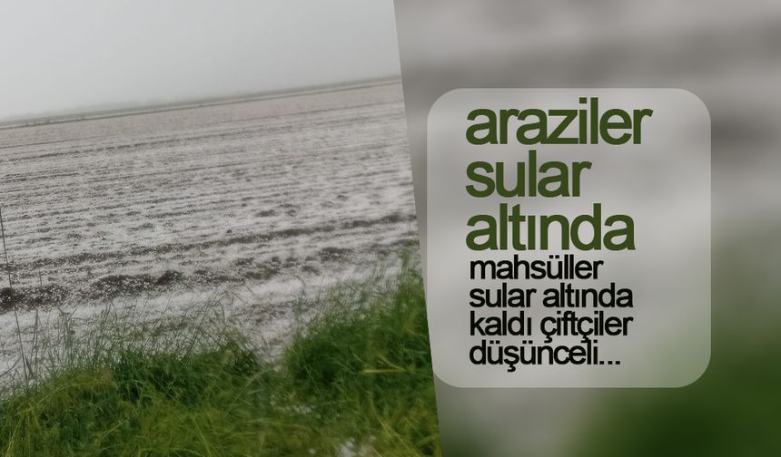 Karaman'da Araziler Sular Altında Kaldı