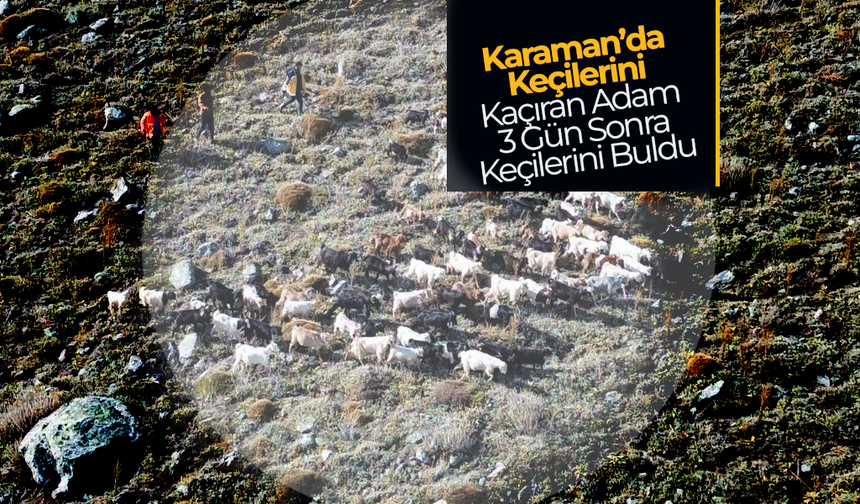 Karaman'da Keçilerini Kaçıran Adam Keçilerini Buldu