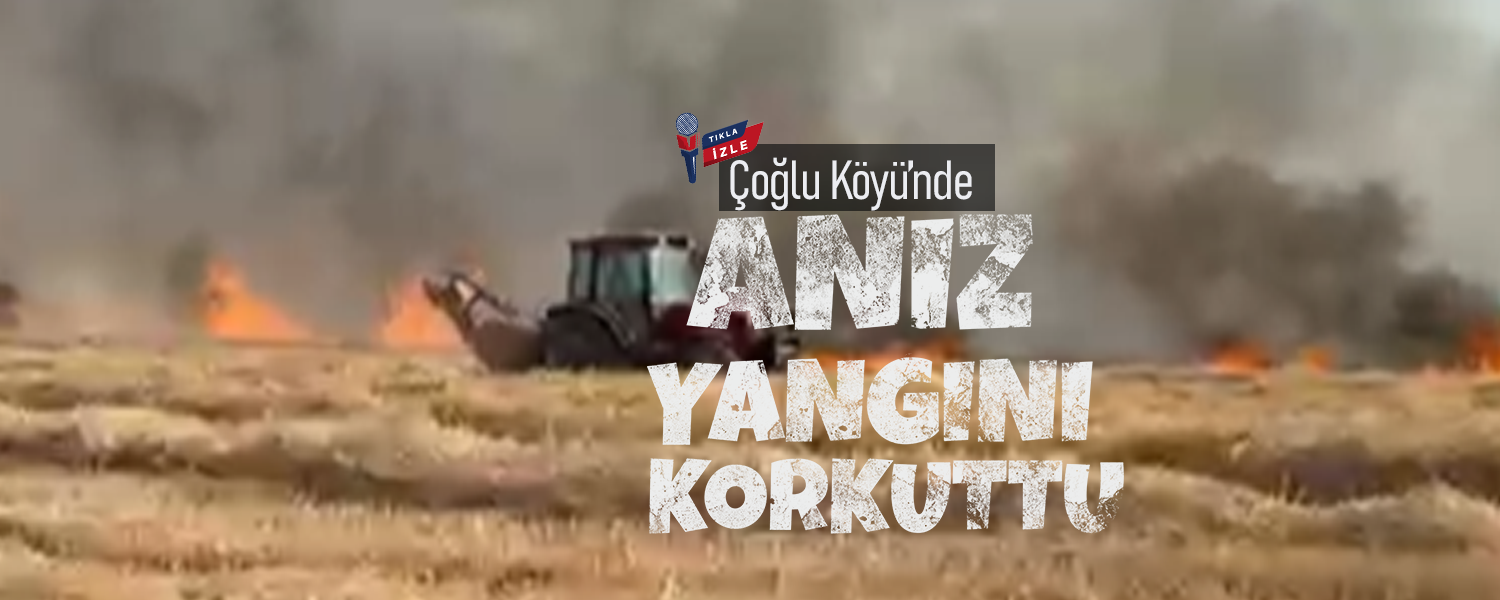 Çoğlu Köyü'nde Anız Yangını Korkuttu