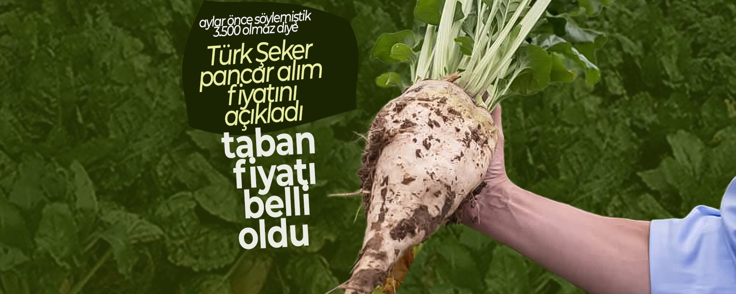 Şeker Pancarı 2025 Alım Fiyatı Açıklandı