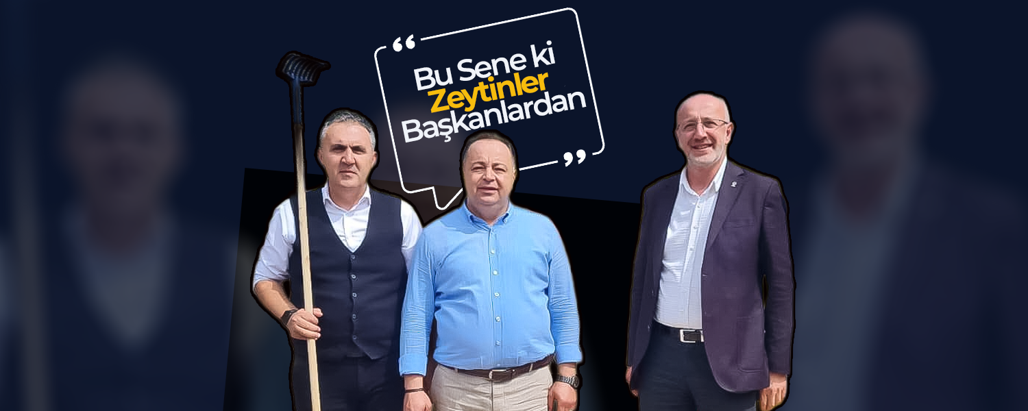 Cerit Köyü’nde Yer Fıstığı ve Zeytin Hasadı Bir Arada