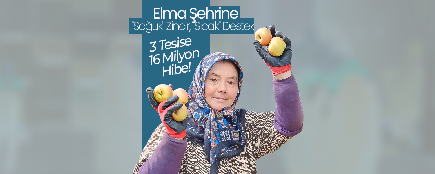 Elma Şehrine "Soğuk" Zincir, "Sıcak" Destek