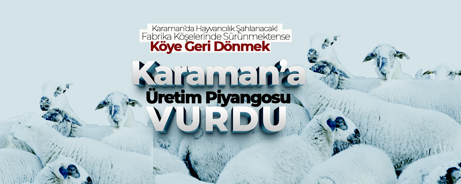 Karaman'da Devlet 100 Koyun Dağıtacak