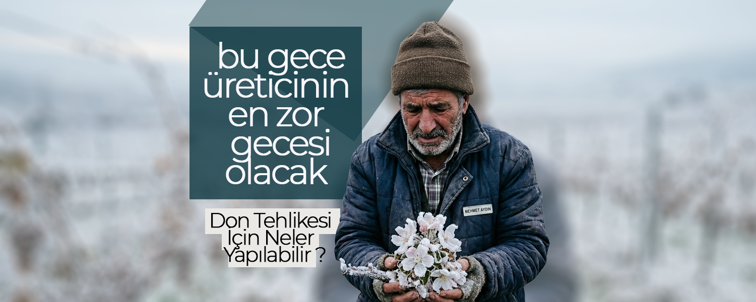 Bu Gece Üreticinin En Zor Gecesi Olacak