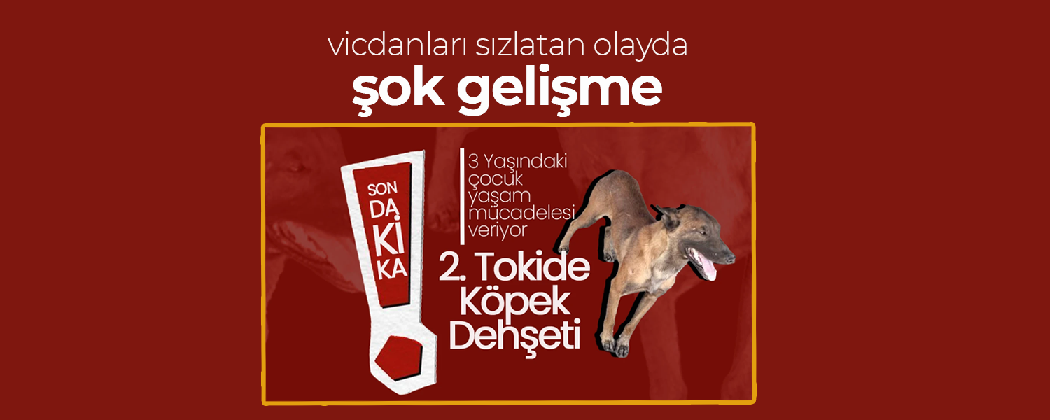 Vicdanları Sızlatan Olayda Şok Gelişme