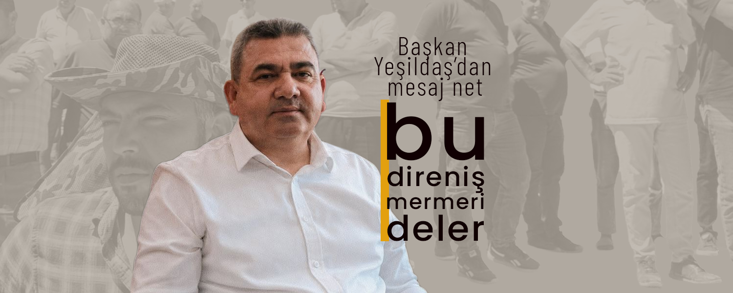 Bu Direniş Mermeri Deler