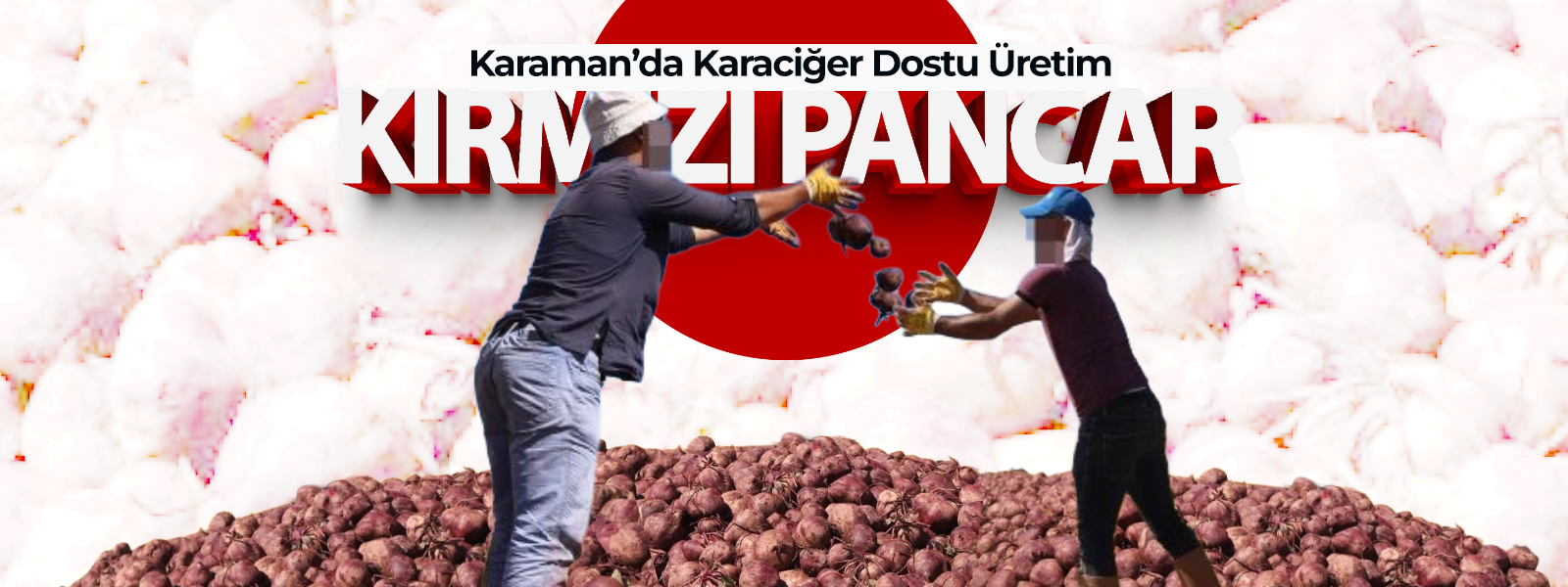 Karaman'da Karaciğer Dostu Üretim