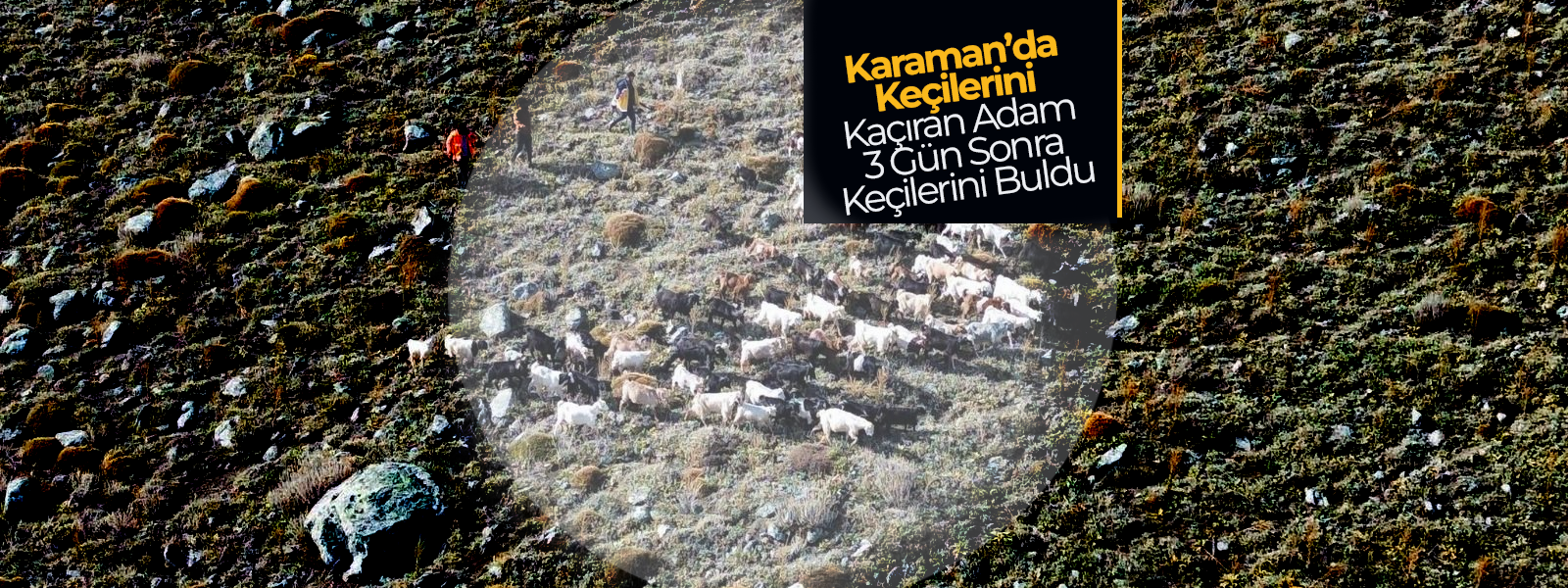 Karaman'da Keçilerini Kaçıran Adam Keçilerini Buldu